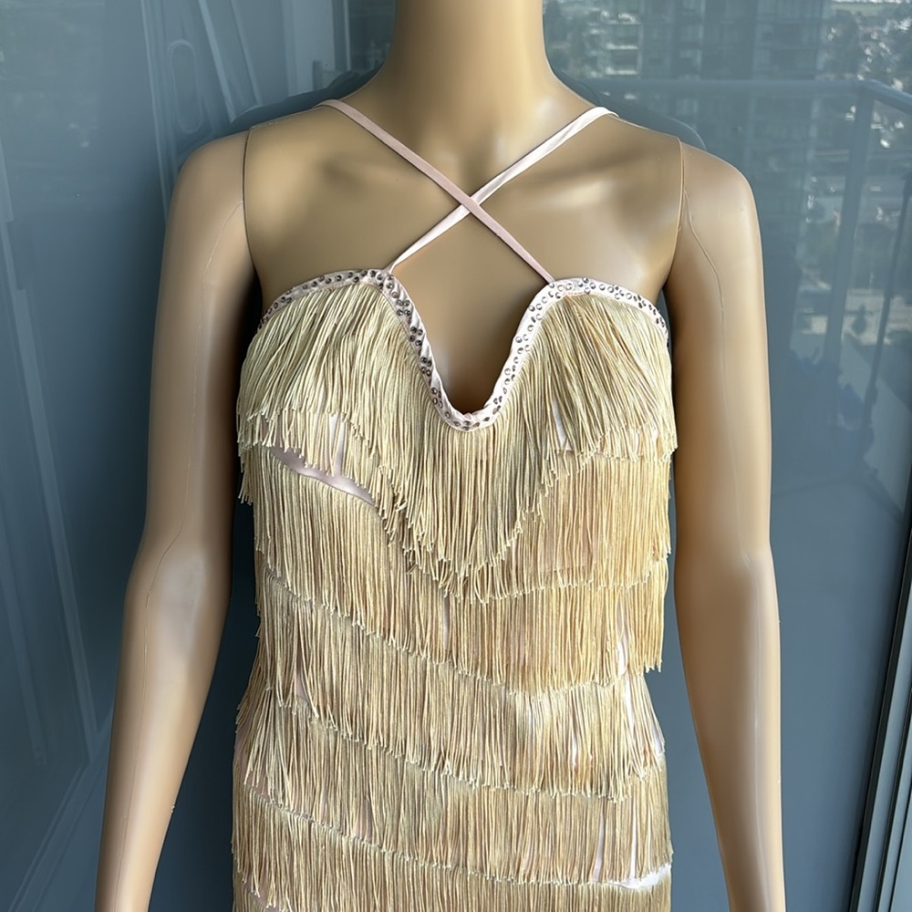 Vintage Fringe Flapper Girl Dress - Picture 7 of 15